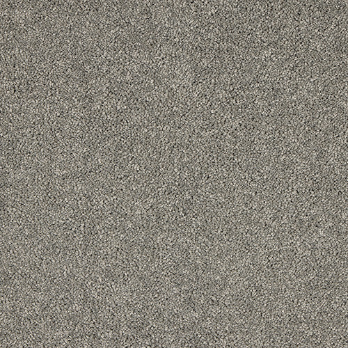 Abingdon Velvet Dreams Charlestone 14324-08
