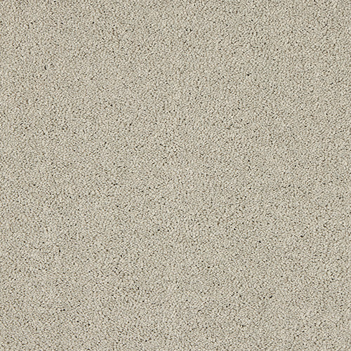 Abingdon Velvet Dreams Mist 14324-11