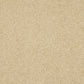 Abingdon Velvet Dreams Double Cream 14324-13