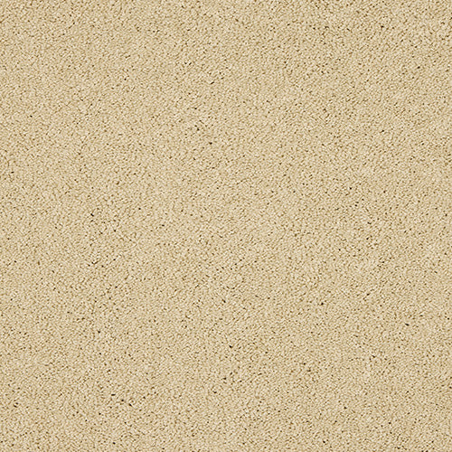 Abingdon Velvet Dreams Double Cream 14324-13