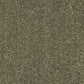 Abingdon Velvet Dreams Dusty Fern 14324-14