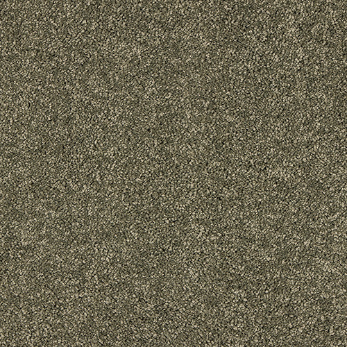 Abingdon Velvet Dreams Dusty Fern 14324-14