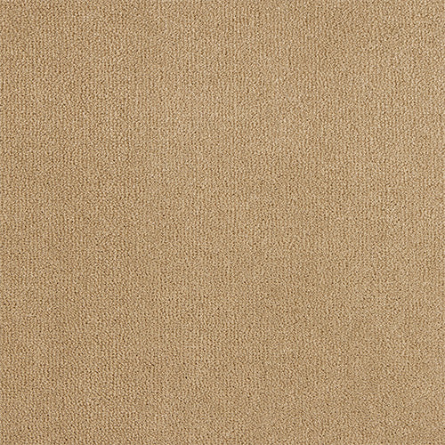 Abingdon Pure Velvet Hemp Beige 14382-01