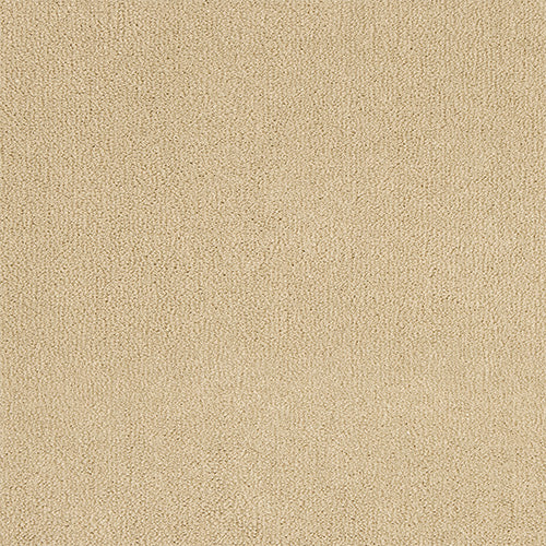 Abingdon Pure Velvet Early Evening 14382-03