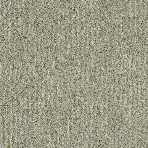 Abingdon Pure Velvet Moles Breath 14382-04