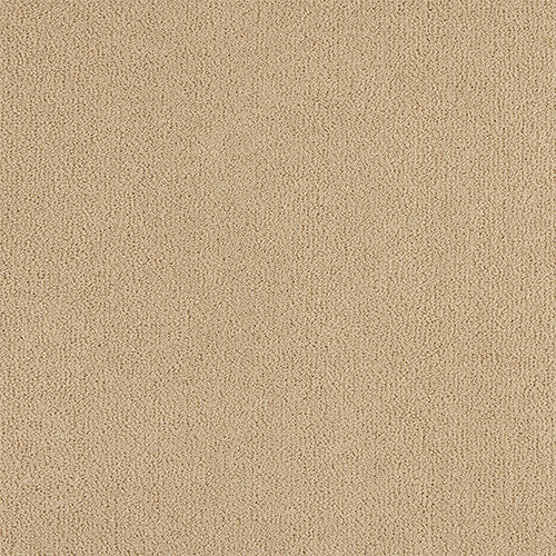 Abingdon Pure Velvet Cashmere 14382-05