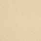 Abingdon Pure Velvet Champagne White 14382-06