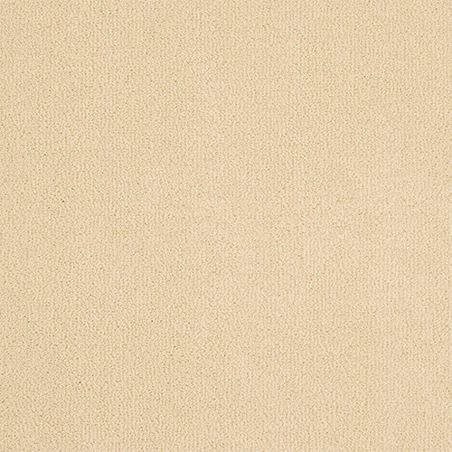 Abingdon Pure Velvet Champagne White 14382-06