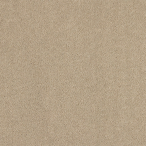 Abingdon Pure Velvet Storms Coming 14382-08