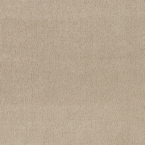 Abingdon Pure Velvet Moonshot 14382-09