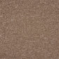 Abingdon Celestial Cocoa Cream 14694-05