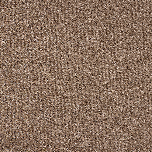 Abingdon Celestial Cocoa Cream 14694-05