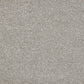 Abingdon Celestial Graphite Mist 14694-06