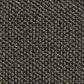 Telenzo Barbican carpet featuring a plush, textured design in neutral tones, perfect for adding warmth to living spaces.