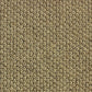 Telenzo Barbican carpet with a textured, patterned design in neutral tones, showcasing a soft, plush surface suitable for living rooms.