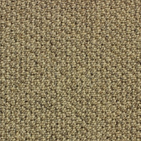 Telenzo Barbican carpet with a textured, patterned design in neutral tones, showcasing a soft, plush surface suitable for living rooms.