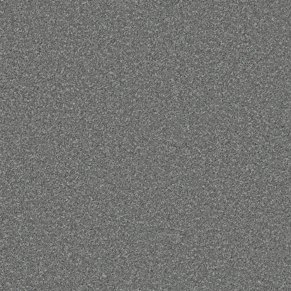 Regency Carpets Fairway Carefree Carpet with patterned design, plush texture, and neutral colors for cozy home flooring.