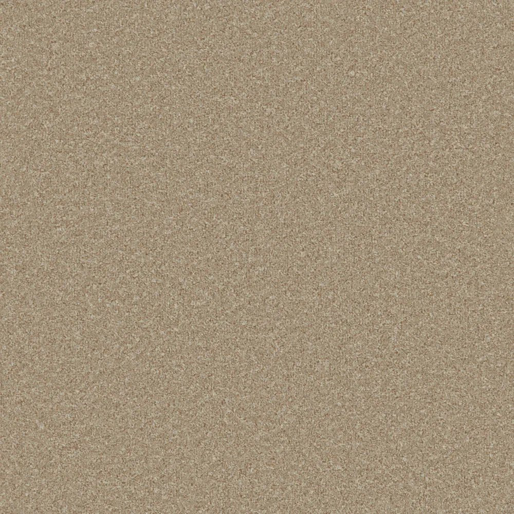 Regency Carpets Fairway Carefree Carpet with textured beige and brown pattern, plush pile, ideal for living rooms and bedrooms.