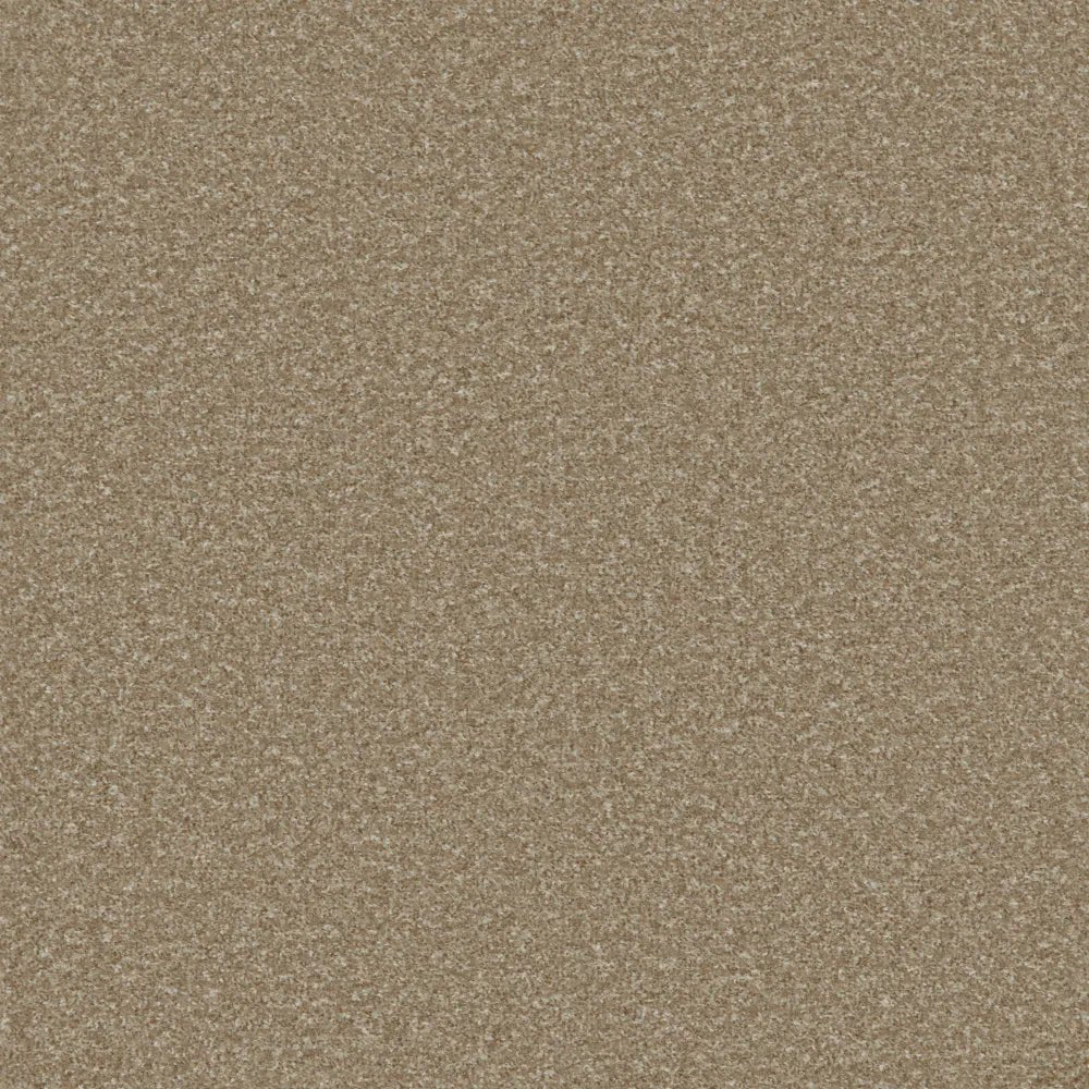 Regency Carpets Fairway Carefree Carpet with a soft, patterned design suitable for living rooms and bedrooms.