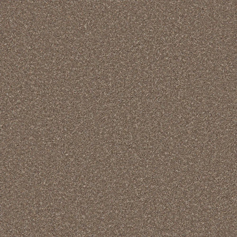 Regency Carpets Fairway Carefree Carpet with geometric pattern in neutral tones, plush texture, suitable for living rooms and bedrooms.