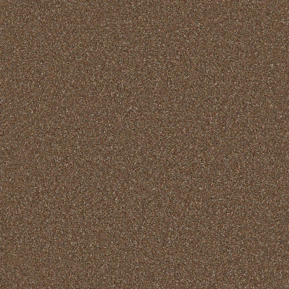 Regency Carpets Fairway Carefree Carpet with textured beige design, plush pile, and soft surface for cozy living spaces.