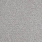 Regency Carpets Fairway Carefree Carpet with a plush, textured surface in neutral tones, ideal for living rooms and bedrooms.