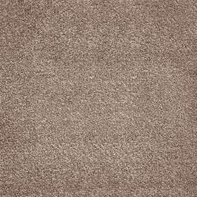 GAIA Ganges Carpet - Surefit CarpetsDoncaster