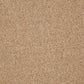Close-up of Inglewood Saxony carpet by Cormar Carpet Co, showcasing soft, textured Saxony-style carpet fibers in a neutral tone.