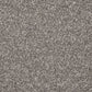 Inglewood Saxony carpet by Cormar Carpet Co featuring plush, soft beige fibers in a close-up texture shot