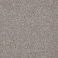Inglewood Saxony carpet by Cormar Carpet Co, plush beige carpet with soft, textured pile for cozy home flooring.