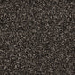 Close-up of Inglewood Saxony Carpet by Cormar Carpet Co showing soft, plush textured surface in neutral tones.