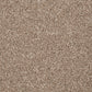Inglewood Saxony carpet by Cormar Carpet Co, featuring plush, textured beige carpet with intricate pattern details.
