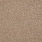 Inglewood Saxony carpet by Cormar Carpet Co, featuring soft, plush texture in neutral tones perfect for living rooms and bedrooms.