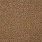 Inglewood Saxony carpet by Cormar Carpet Co featuring plush, textured cream-colored fibers in a close-up view.