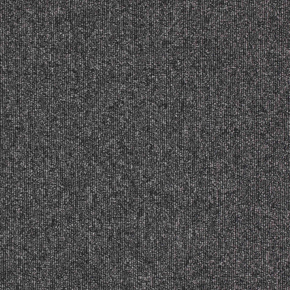 Paragon Carpet Tiles workspace Loop Carpet Tiles in neutral tones, showing textured, modular carpet tile flooring for office spaces.