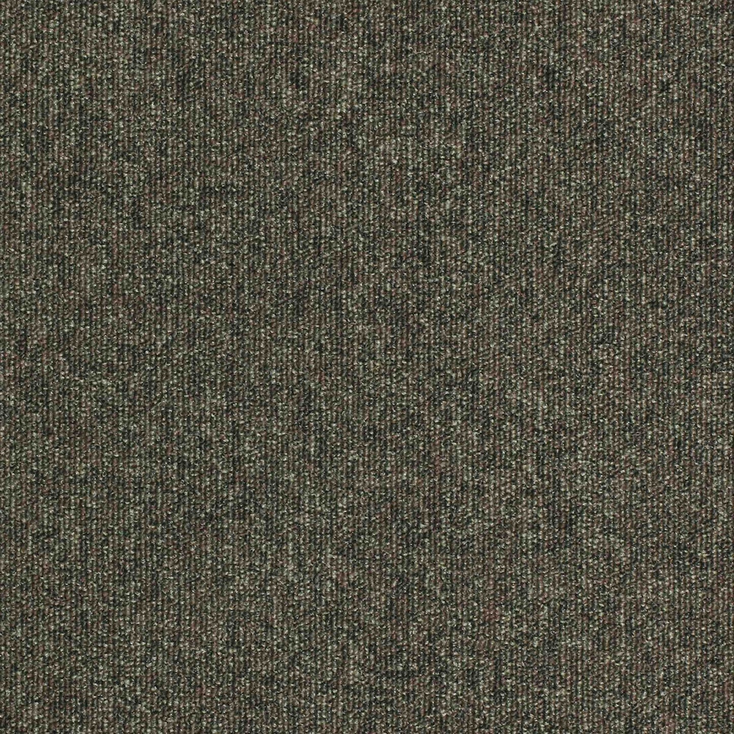 Paragon Carpet Tiles Workspace Loop Carpet Tiles in neutral tones, showing textured, modular carpet tile design for office flooring.