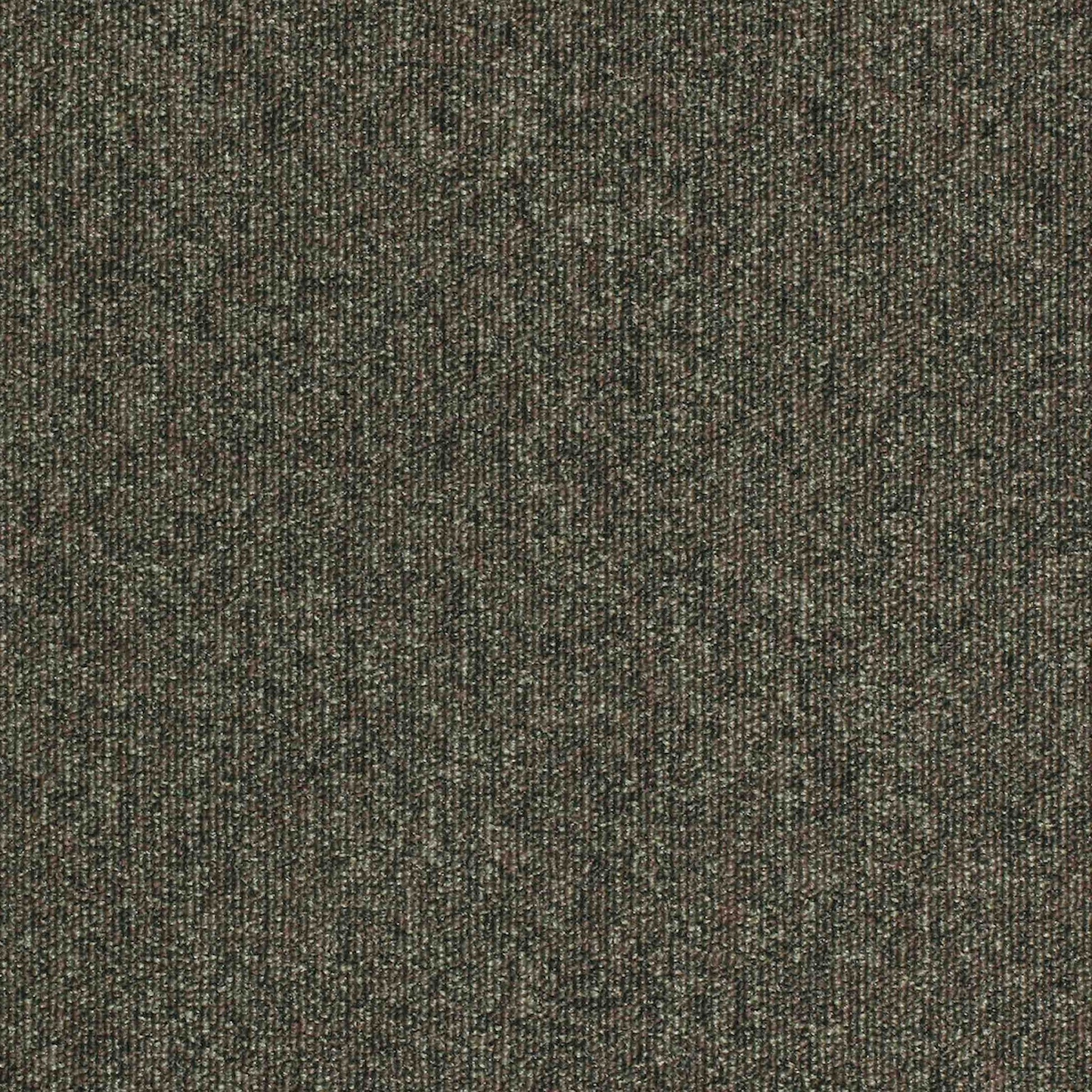 Paragon Carpet Tiles Workspace Loop Carpet Tiles in neutral tones, showing textured, modular carpet tile design for office flooring.