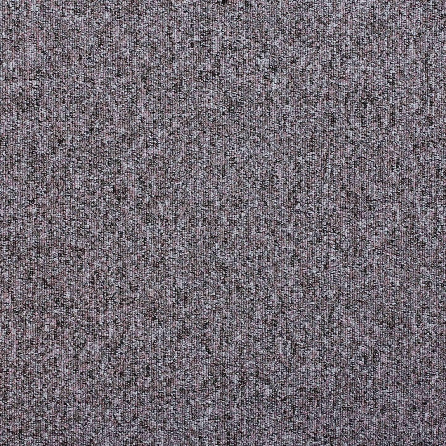 Paragon Carpet Tiles Workspace Loop carpet tiles in neutral tones, showing textured, looped surface suitable for office flooring.
