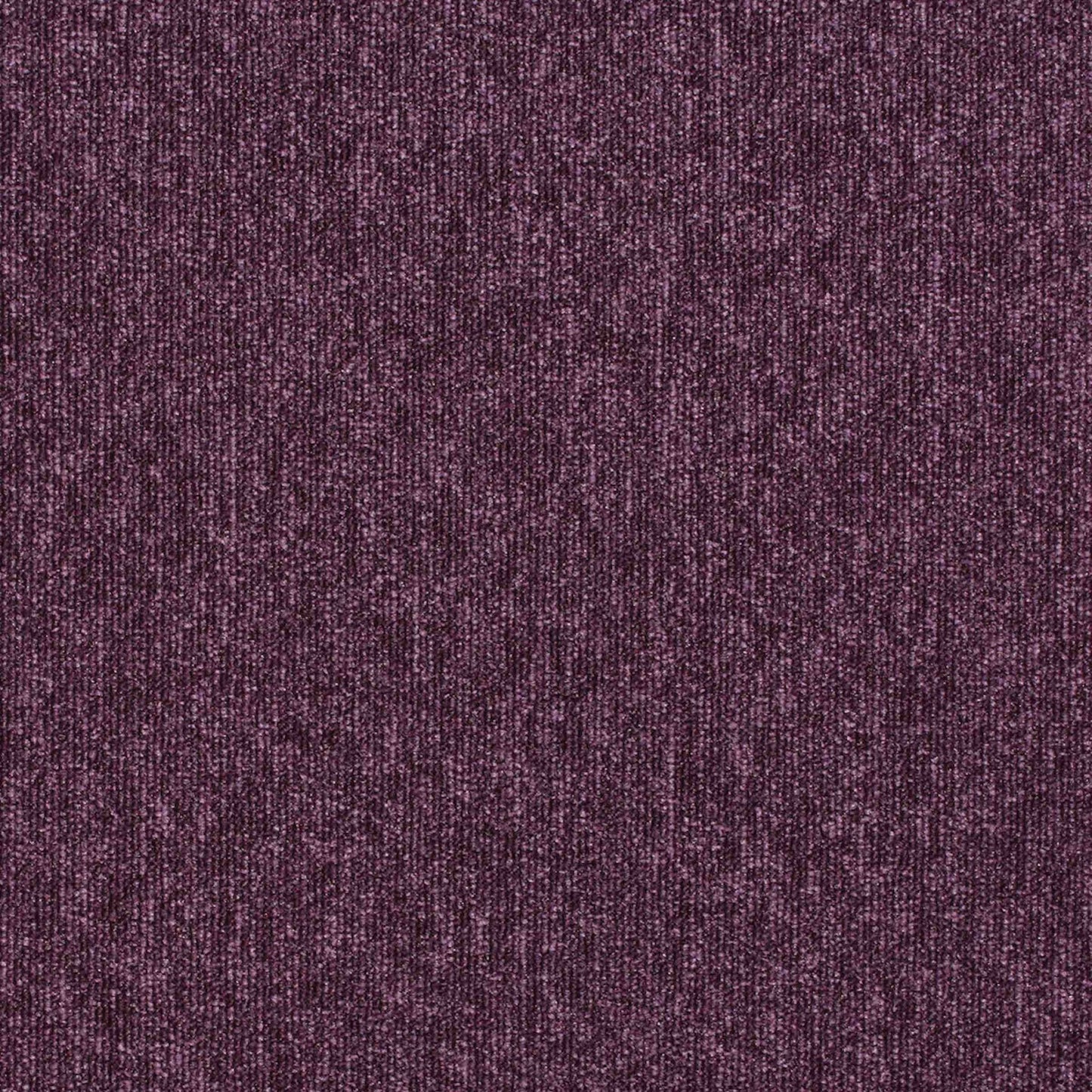 Paragon Carpet Tiles workspace Loop Carpet Tiles in neutral tones, showing modular tiles for office or commercial flooring.