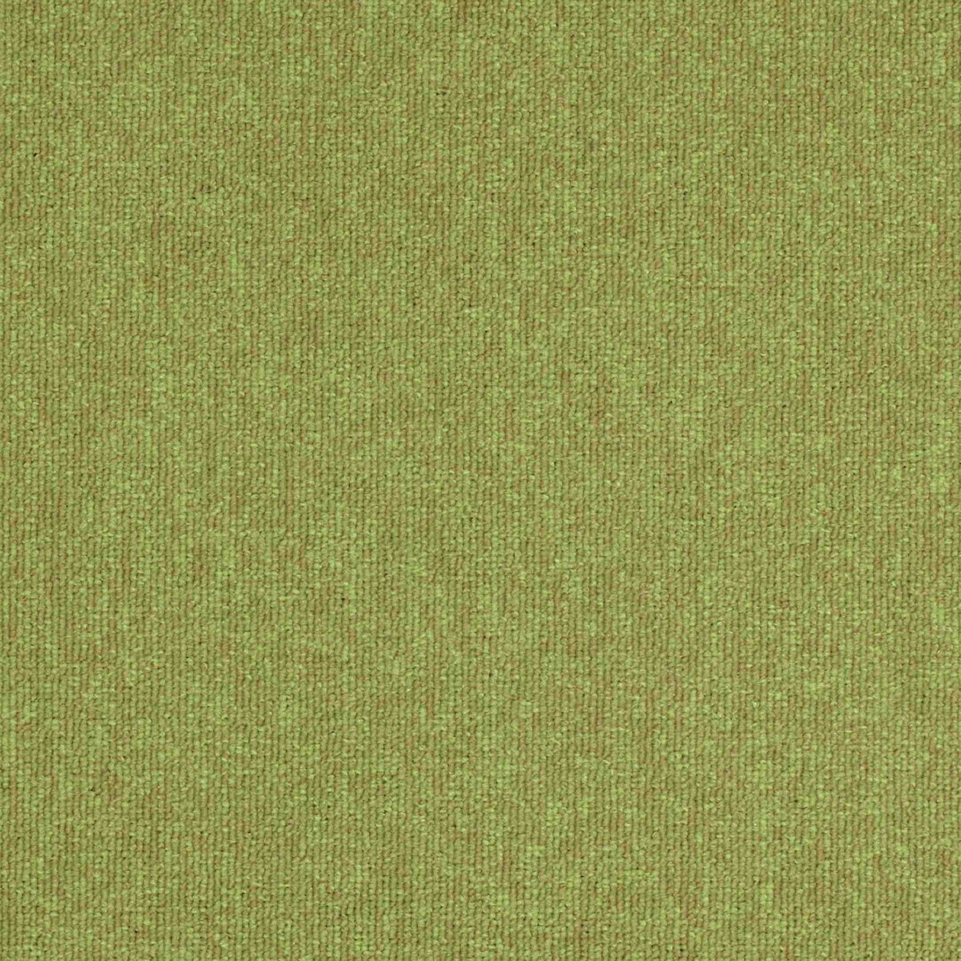 Paragon Carpet Tiles workspace loop carpet tiles with a textured pattern, suitable for office or commercial flooring.