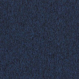 Employ Loop Carpet Tiles - Surefit CarpetsDoncaster