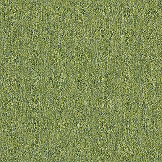 Employ Loop Carpet Tiles - Surefit CarpetsDoncaster