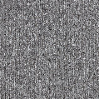 Employ Loop Carpet Tiles - Surefit CarpetsDoncaster