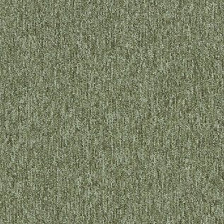 Employ Loop Carpet Tiles - Surefit CarpetsDoncaster