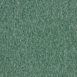 Employ Loop Carpet Tiles - Surefit CarpetsDoncaster