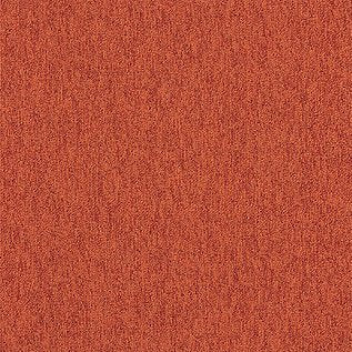 Employ Loop Carpet Tiles - Surefit CarpetsDoncaster