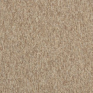 Employ Loop Carpet Tiles - Surefit CarpetsDoncaster