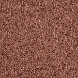 Employ Loop Carpet Tiles - Surefit CarpetsDoncaster