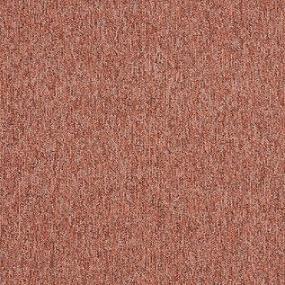 Employ Loop Carpet Tiles - Surefit CarpetsDoncaster