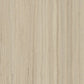Forbo Marmoleum Modular Planks flooring in 100x25cm, showing a close-up of the textured natural linoleum surface.